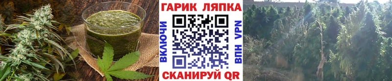 Canna-Cookies конопля Макушино
