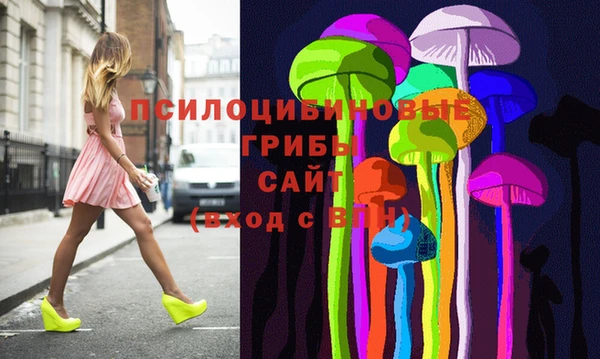 стафф Аркадак