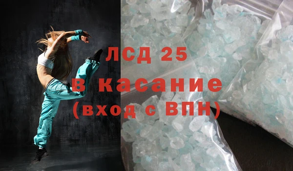 стафф Аркадак