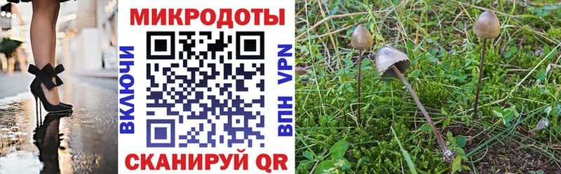 купить закладку  Макушино  Псилоцибиновые грибы мицелий 