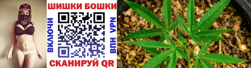 Каннабис индика  Макушино 